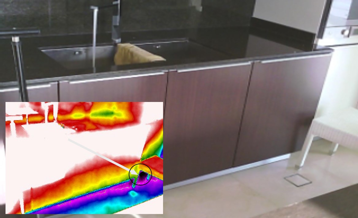 Kitchen Leak Detection