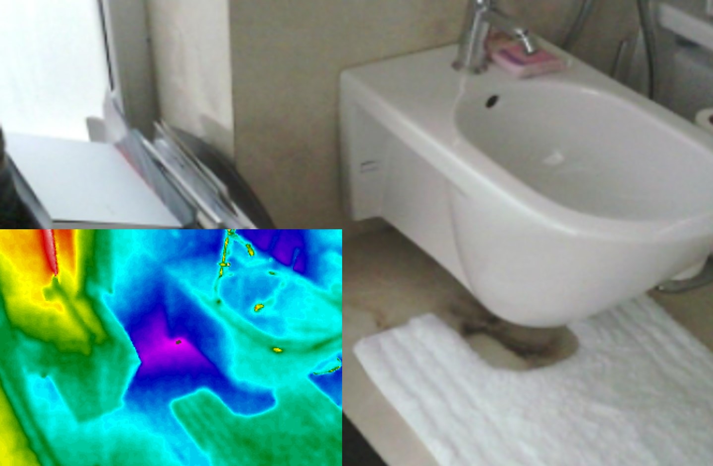 Bathroom Leak Detection