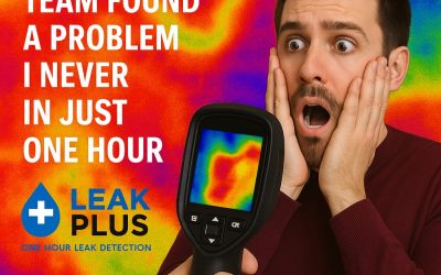 Why You Need a Professional Leak Detection Company